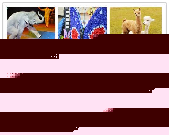 2021崇州小型馬戲團演出出租廠家價格