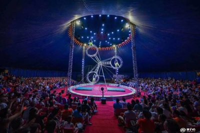 雜技馬戲團(tuán)獅子表演環(huán)球飛車大飛輪表演出租動物租賃資源