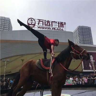 什邡市租賃馬戲團(tuán)表演的價(jià)格-鸚鵡表演租賃