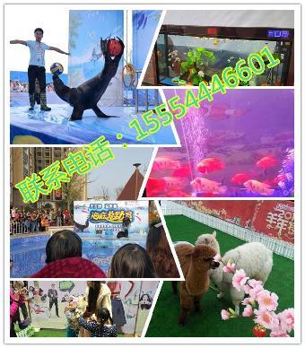 武穴哪里有馬戲團出租表演的呢_志趣網(wǎng)