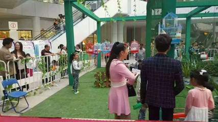 彬 縣中小型馬戲團演出合作推薦【鸚鵡表演出租