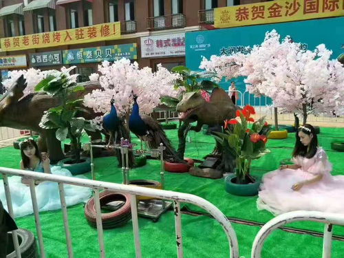 宿遷市皇家大馬戲團表演出租哪里有