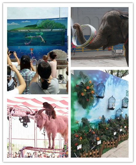 廣元馬戲團出租價格