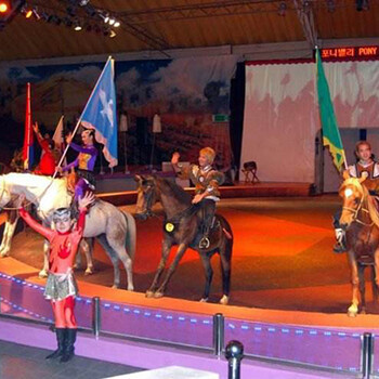 本地哪里有馬戲團商演