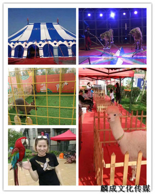 豐鎮馬戲團獅虎表演出租名氣大的