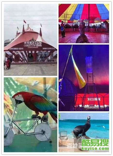 【北京b2駕照增駕a2增駕a1-金牌教練教學】-北京酷易搜