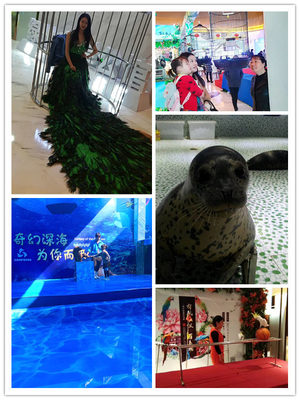 黑龍江本地馬戲團(tuán)表演出租