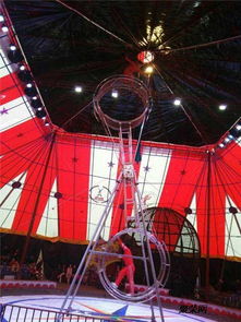 馬戲團表演出租暑假更優惠