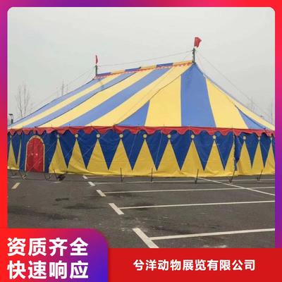 馬戲團(tuán)/羊駝【海獅表演出租】實力公司