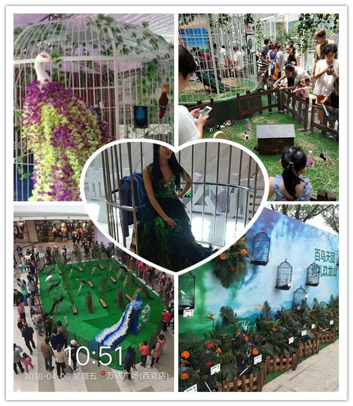 靈武出租海獅表演