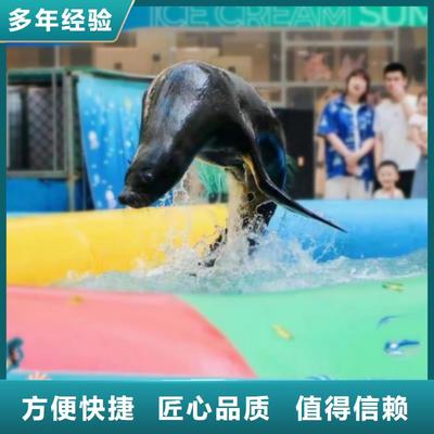 海洋主題動物表演-企鵝出租講究信譽