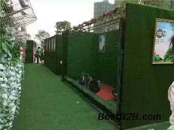 荊門市馬戲團(tuán)表演海獅房地產(chǎn)動(dòng)物租賃公司