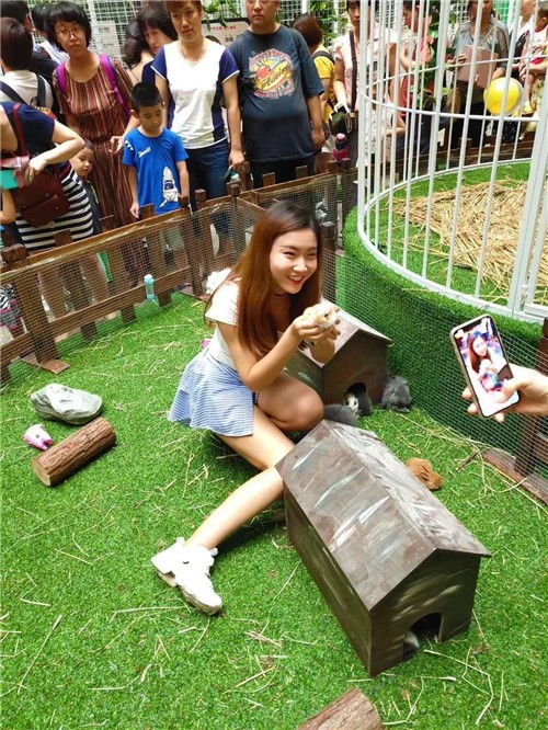 遼陽百鳥展出租優惠方便客商