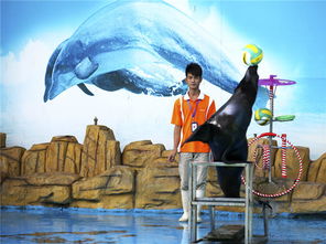 蘇州馬戲團租賃活動商業演出選擇