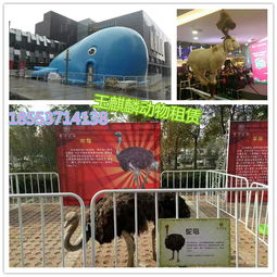 張家界市動物租賃馬戲團 藝術表演與動物福利的平衡探索