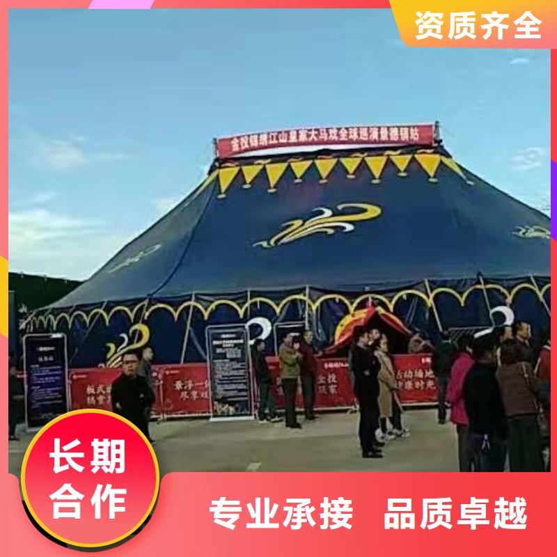 創意活動新風尚 馬戲團表演、羊駝出租與海獅互動好評如潮，冰雕展出租賃點亮城市魅力